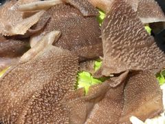 -呷哺呷哺(松江开元店)