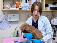 -美联众合爱康动物医院•复杂内科•肿瘤科•牙科•腔镜诊疗中心