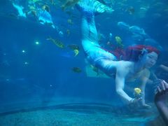 -华夏文旅海洋公园