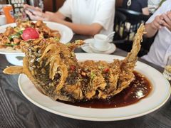 -环宇草鸡店·特色炒鸡