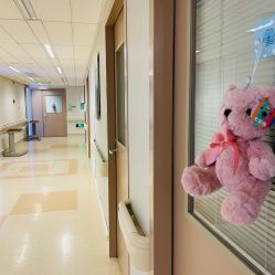 -杭州贝瑞斯美华妇儿医院·早孕·产检·儿科