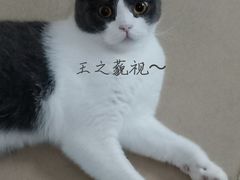 -核客电玩城(东门店)