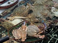 -好兄弟郭巨海鲜(天一阁店)