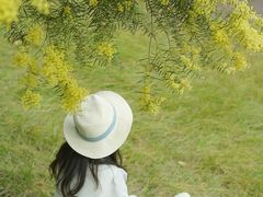 -厦门国家会计学院