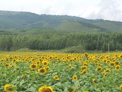-塞罕坝国家级自然保护区