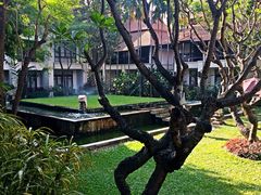 -清迈菩提塞雷纳