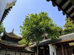 -绿草地·湘菜(7mall店)