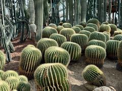 -南山植物园