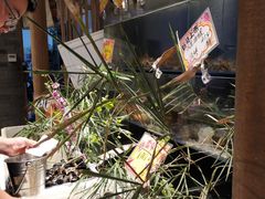 -烧货·活海鲜炭烧(湖滨商业街店)
