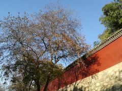 -大雁塔北广场音乐喷泉