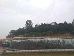 -三水森林公园