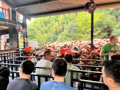 -将军关探险漂流