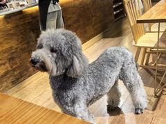 -沏点Trattoria意大利餐厅(新街口店)