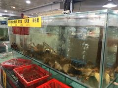 -寻味顺德·南记酒家·传统顺德菜·鱼生(广源路店)