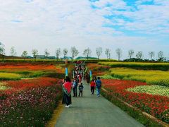 -光明小镇欢乐田园