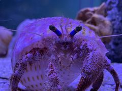 -太平洋海底世界