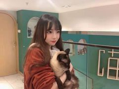 -飞行喵MR PILOT|猫舍·猫咖(静安大融城店)