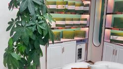-颜加一•趣爱眼·科技美容养生