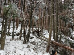 -武陵山森林公园