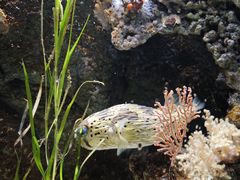 -杭州长乔极地海洋公园