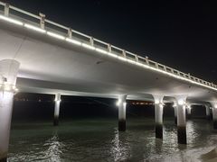 -演武大桥观景平台