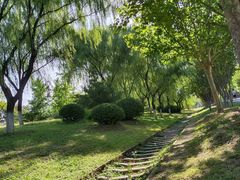 -永定河休闲森林公园