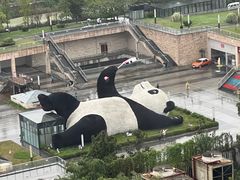 -都江堰中心国际酒店