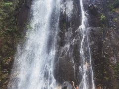 -姑婆山旅游区