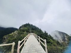 -牛背梁国家森林公园