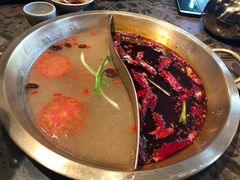 红白鸳鸯锅-小龙坎老火锅(金柏林店)