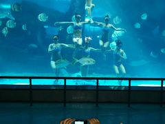 -泉城欧乐堡海洋极地世界