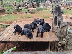 -海南热带野生动植物园