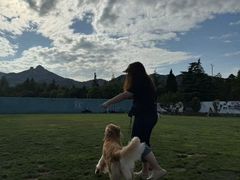 -趣玩宠物乐园寄养训犬训狗游泳池