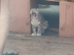-青藏高原野生动物园
