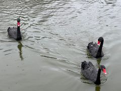 -无锡动物园·太湖欢乐园