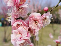 -蜀冈西峰生态公园