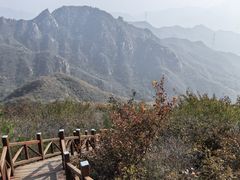 -大岭沟猕猴桃谷风景区