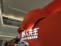 -野人先生现做冰淇淋(北京王府井东方新天地店)