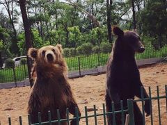 -秦皇岛野生动物园