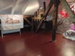 -树懒黑胶唱片店(中山路店)