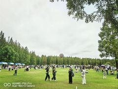 -黄海国家森林公园