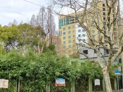 -徐家汇源景区-衡山公园