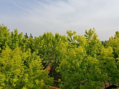 -东郊湿地公园