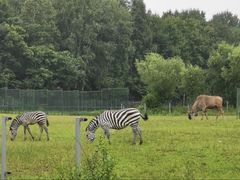 -哈尔滨北方森林动物园