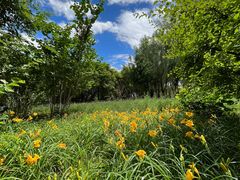 -大兴滨河森林公园