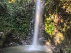 -莫里热带雨林景区