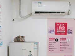 -艾贝尔宠物医院·24H转诊中心·肿瘤猫专科(江宁双龙店)