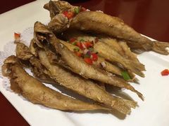 -鸢飞潍坊菜馆(鸢飞大酒店)