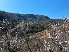 -妙峰山风景名胜区