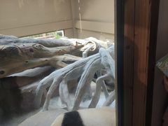 -宁波野生动物园